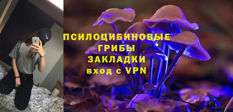 как найти   кракен онион  Галлюциногенные грибы Psilocybe  Краснокамск 